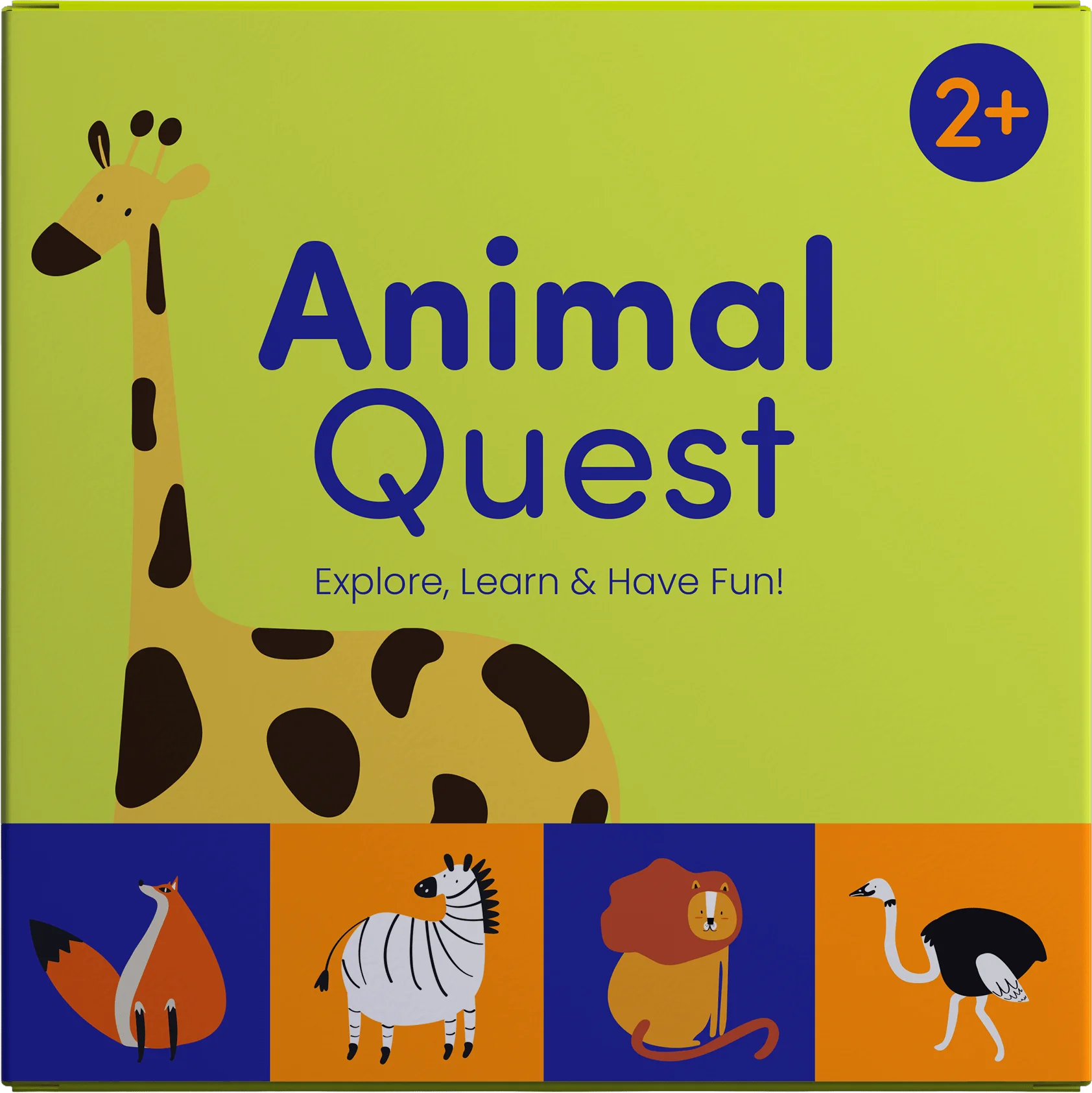 Animal Flash Card