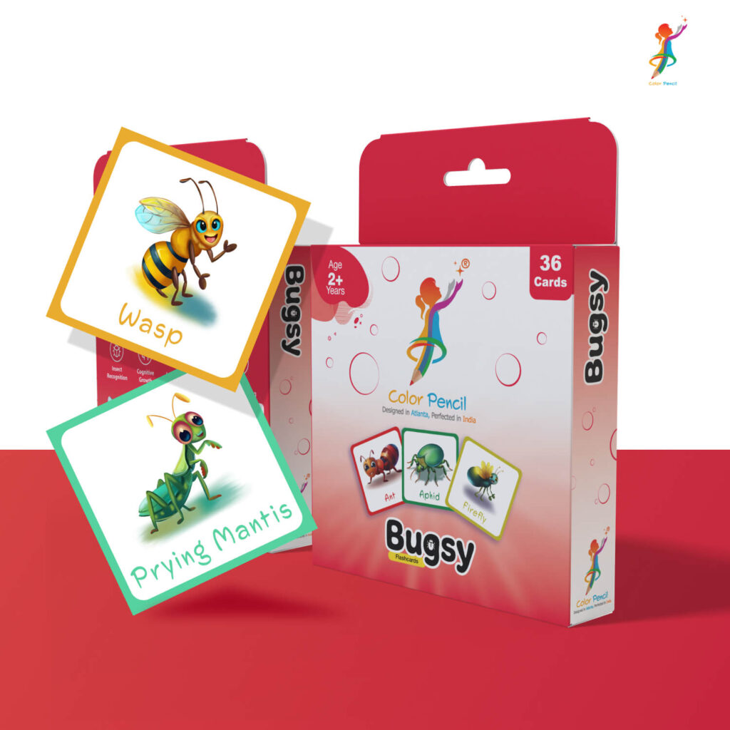 bugsy flashcards