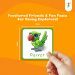 Bird feather flashcards for kids