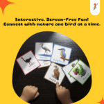 Bird feather flashcards for kids